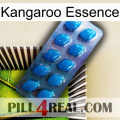 Kangaroo Essence viagra1